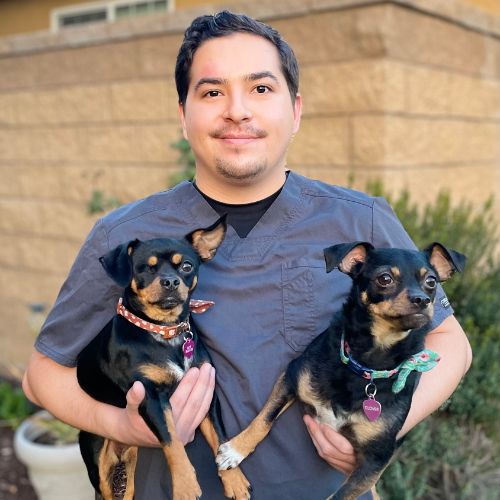 Marc C. - Registered Veterinary Technician